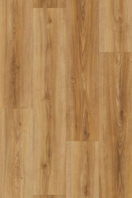 Gold Foirdoliso Oak (EDG-K629)