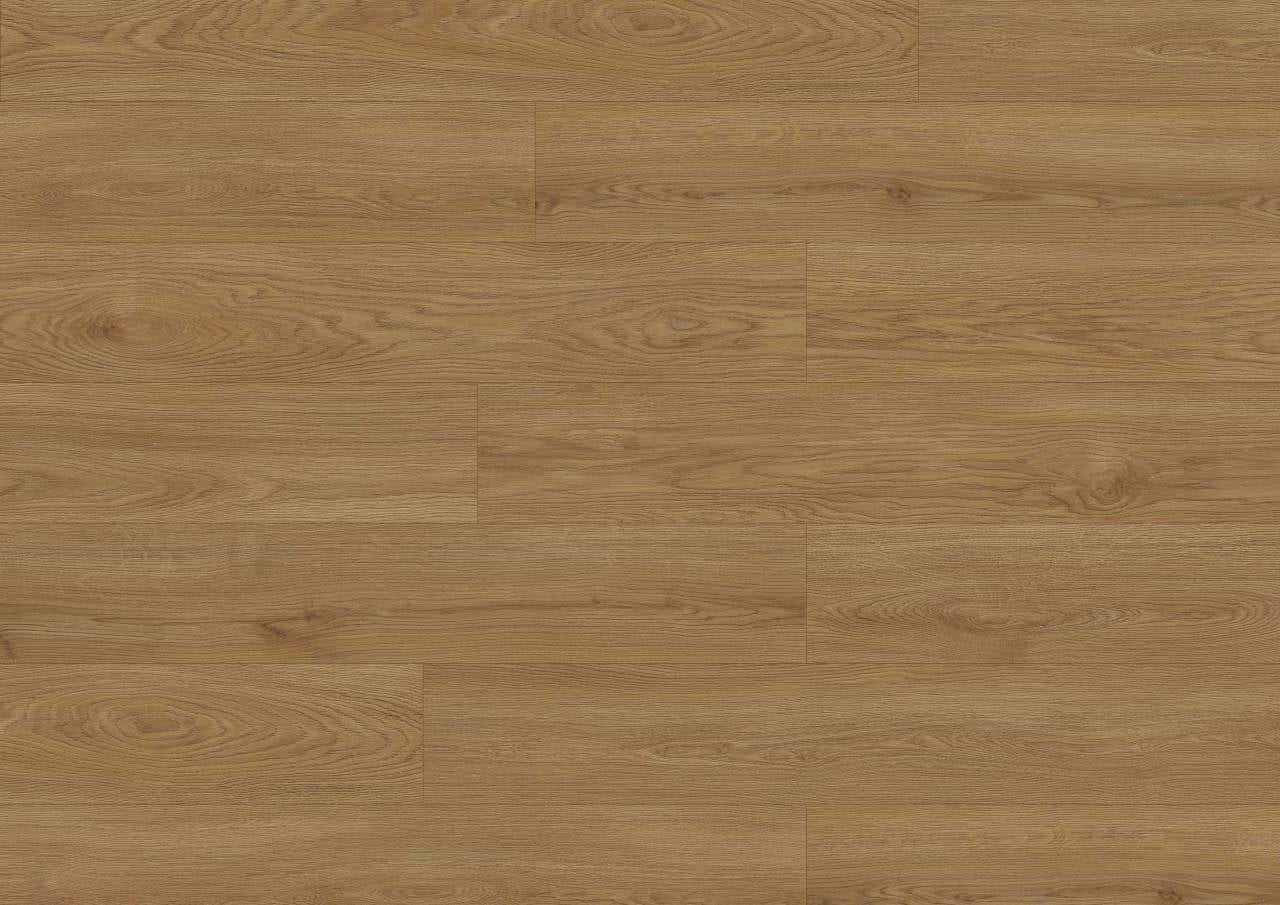 Wheat Cornforth Oak (EDG-K638)