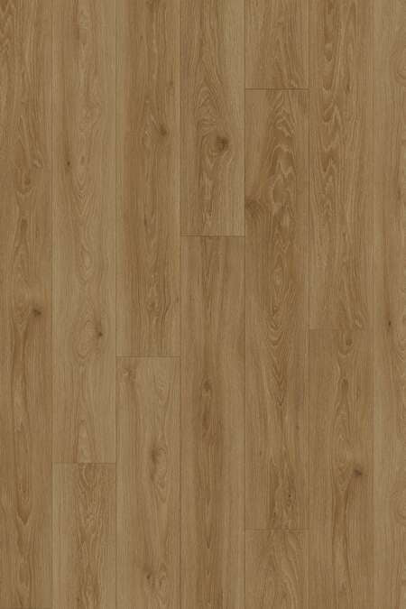 Wheat Cornforth Oak (EDG-K638)