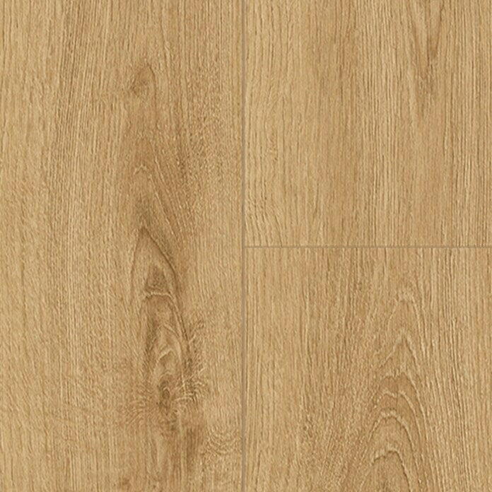 Cashew Montreux Oak (EDG-K652)