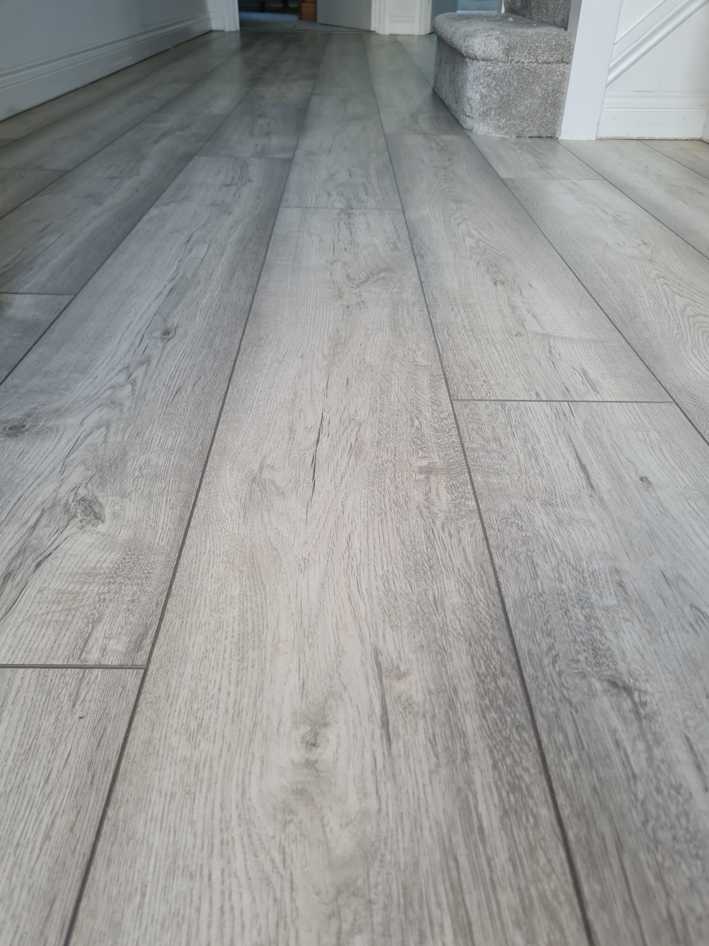 Cork Grey Oak (EDG-4369)