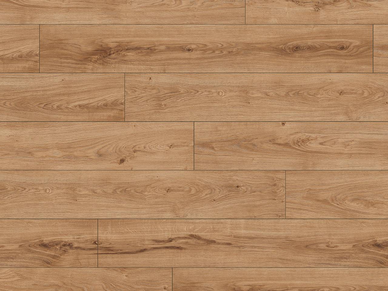 Venice Oak (EDG-K468)